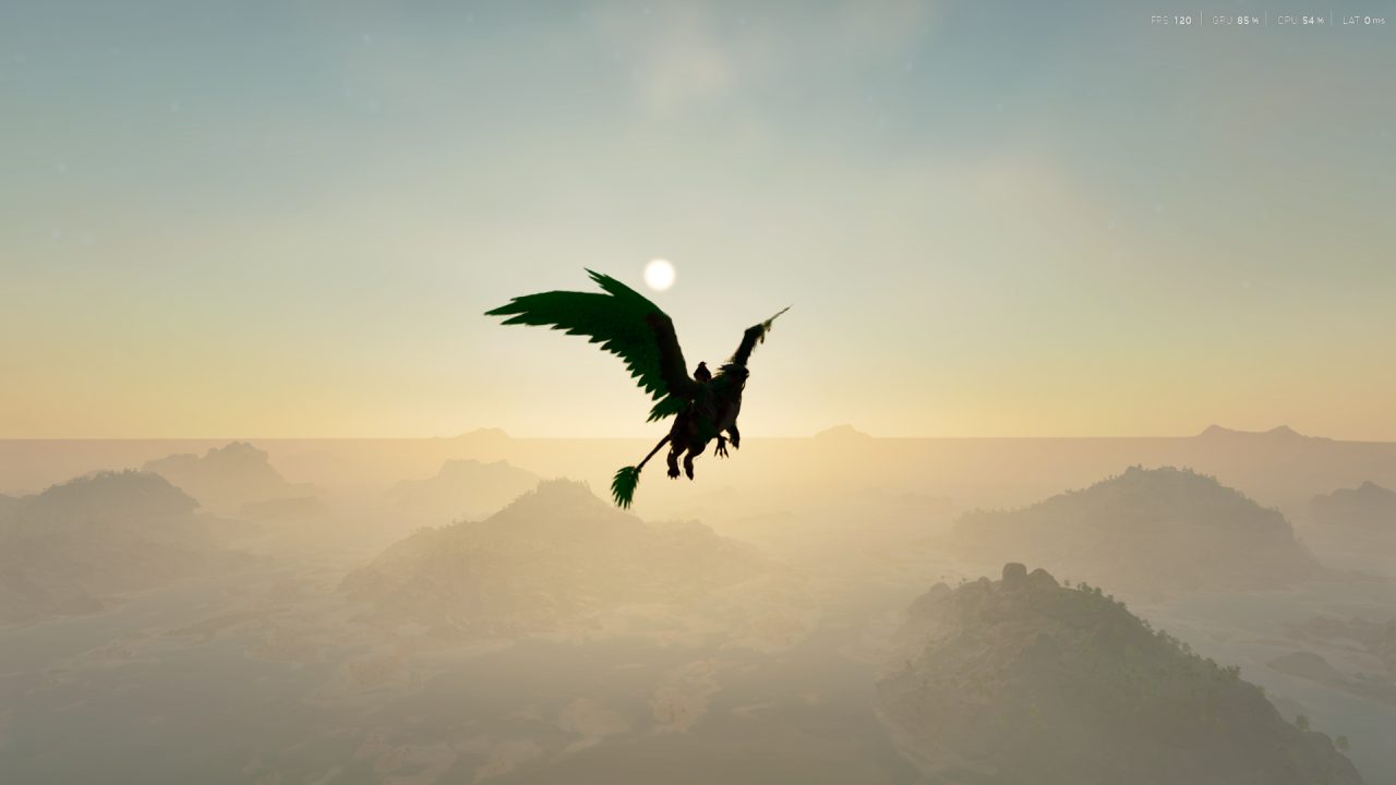 Sunset flight